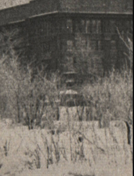 VFL.RU - ваш фотохостинг