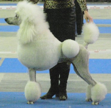Rover BIS Samara 2008 5