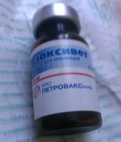 VFL.RU - ваш фотохостинг