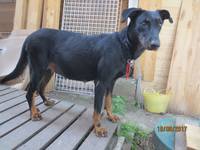 VFL.RU - ваш фотохостинг