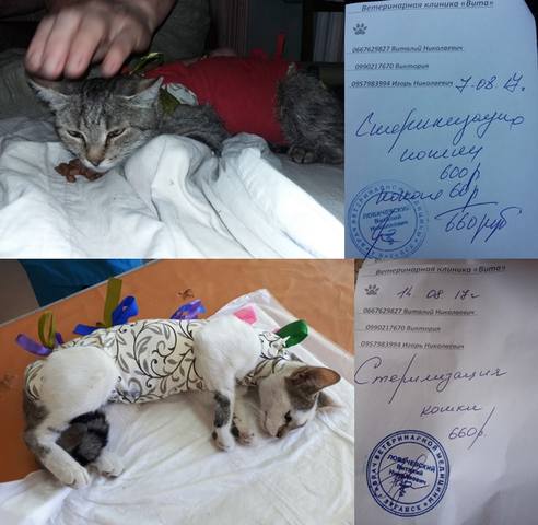 Долги 20.08.17 3 Долги 20.08.17 3