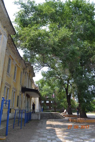 18332190_m.jpg
