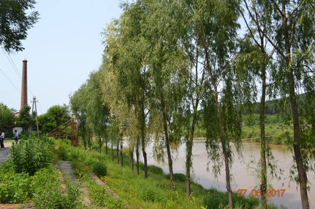 18332224_m.jpg