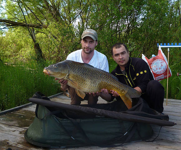 bigfish