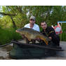 bigfish