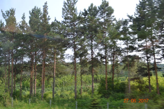 18346924_m.jpg