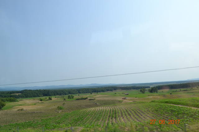 18346929_m.jpg
