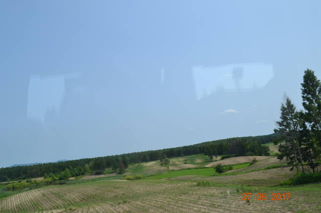 18346935_m.jpg