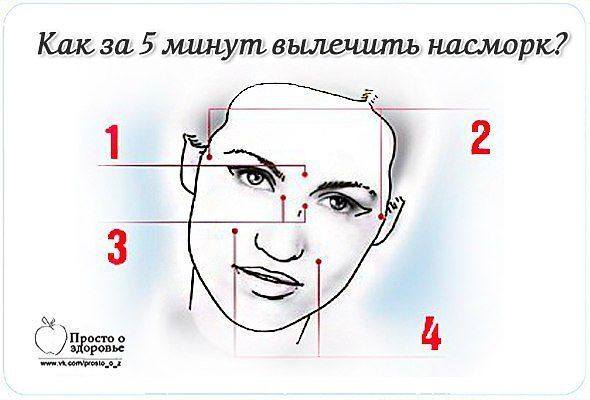 насморк насморк