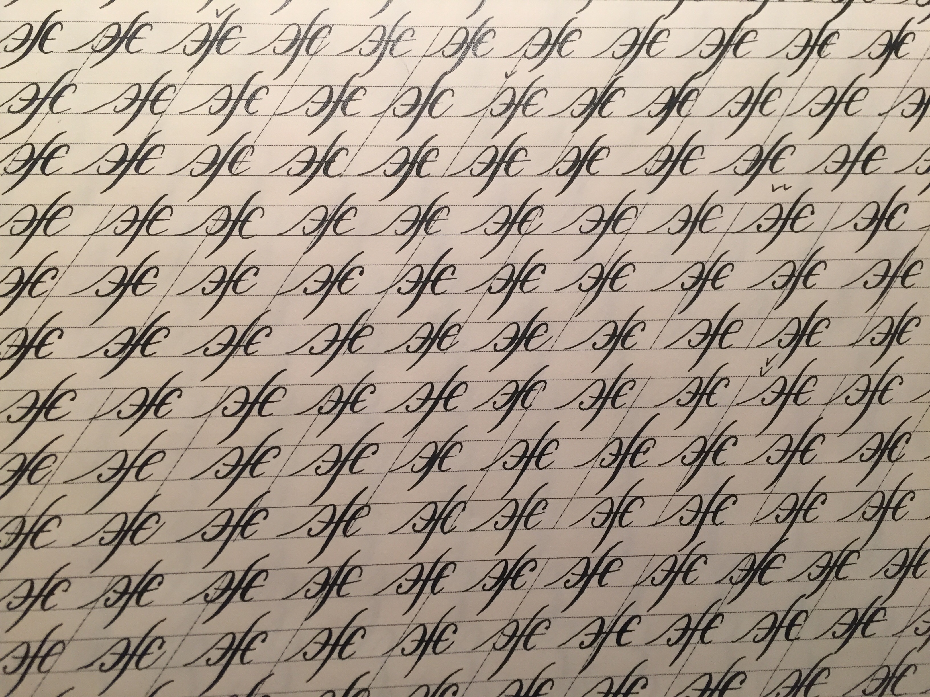 FullSizeRender (2)