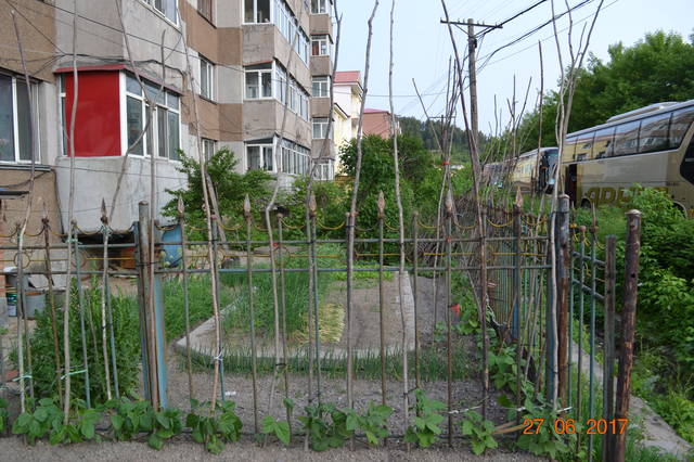 18397339_m.jpg