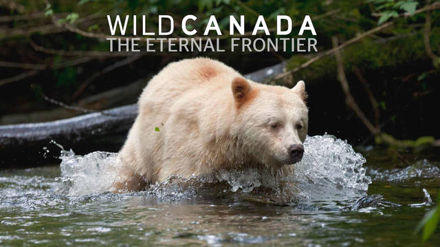eternal frontier thumb-from-cbc