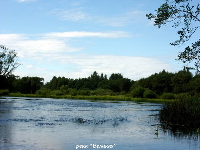 VFL.RU - ваш фотохостинг