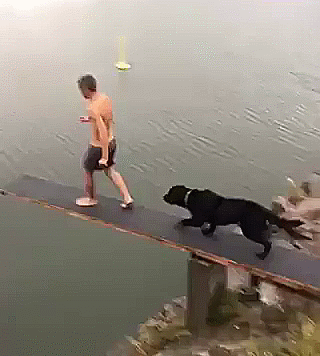 Прыжки в воду