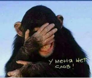 U menya net slov...