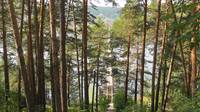 1024IMG 0521