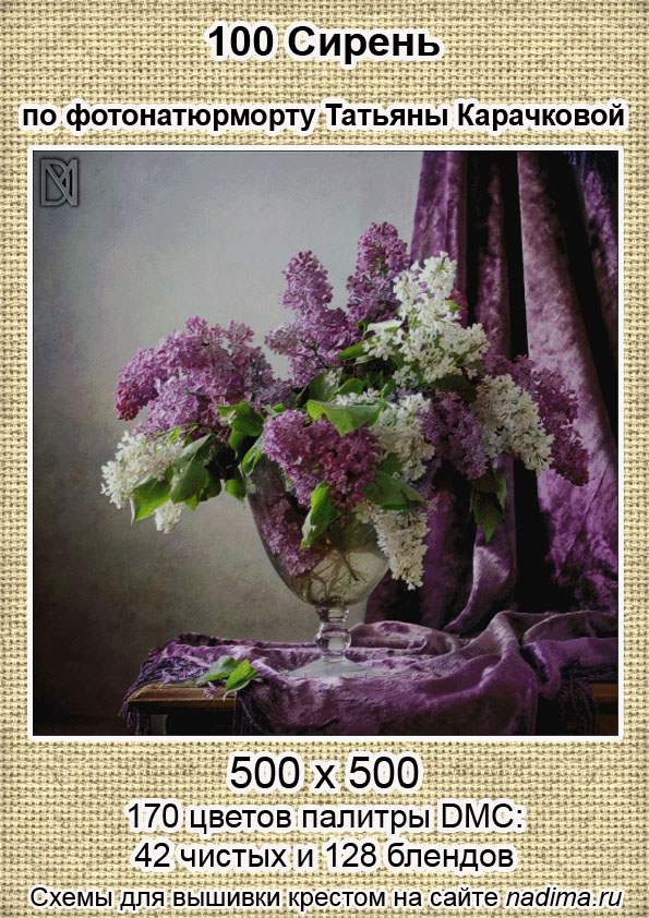100 дмс инфа