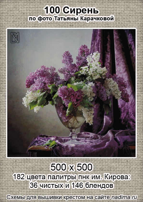 100 пнк инфа