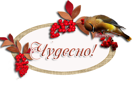 VFL.RU - ��� �����������