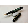 SAM 9097sm Pelikan100old