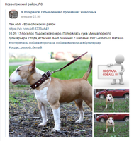 Всеволожск, ЛО-10.09.17