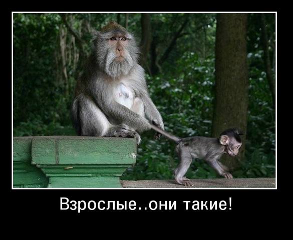 http://images.vfl.ru/ii/1506541850/b725f8f7/18771323_m.jpg