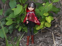 VFL.RU - ваш фотохостинг