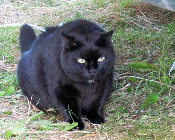 VFL.RU - ваш фотохостинг