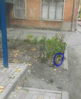 VFL.RU - ваш фотохостинг