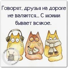 pozitivsosmislom26