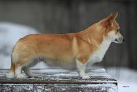 VFL.RU - ваш фотохостинг