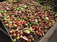 VFL.RU - ваш фотохостинг