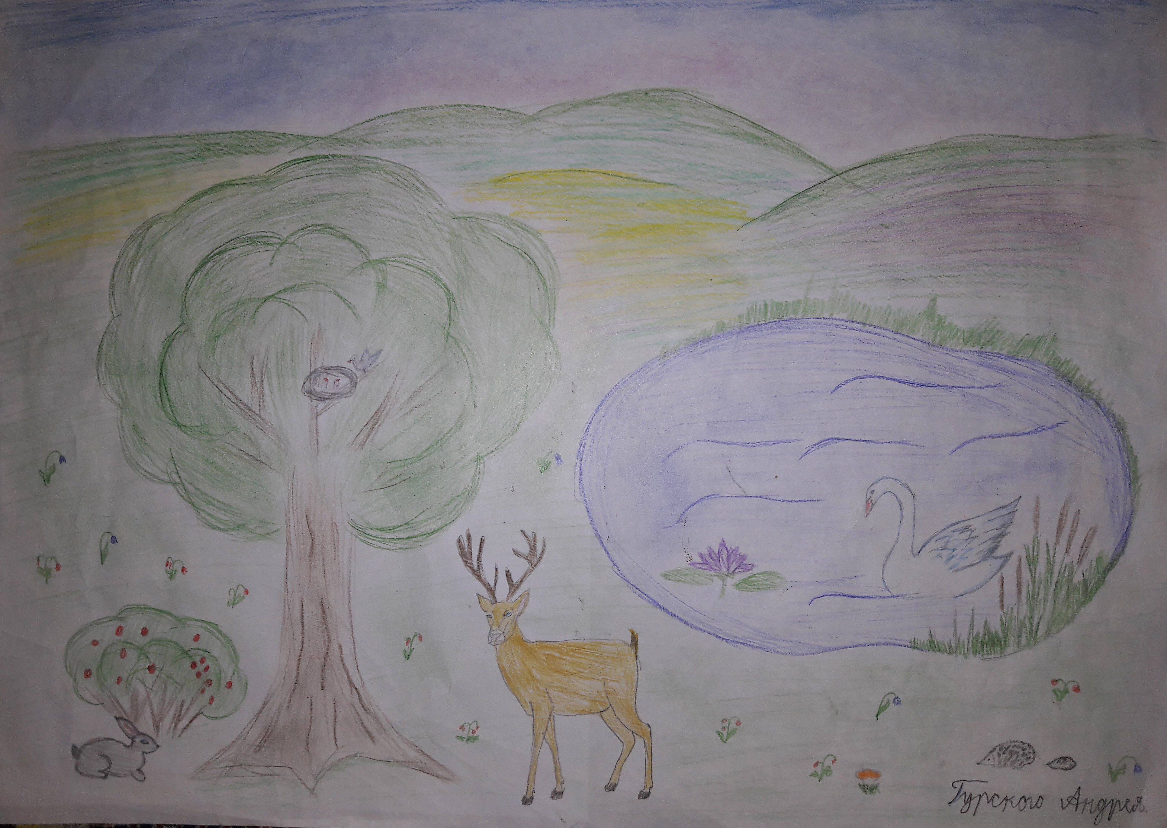 Гурской Андрей