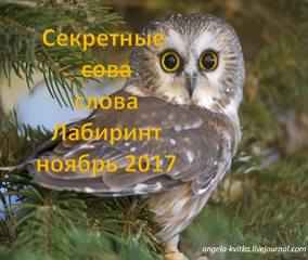 секретные слова Лабиринт ноябрь 2017