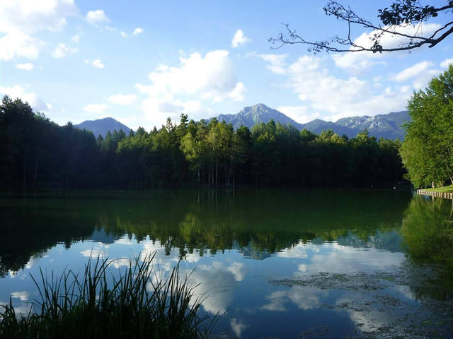 Пруд в Брдо