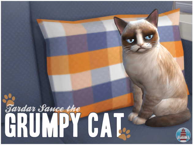Grumpy Cat Cover 1.png?resize=630%2C473