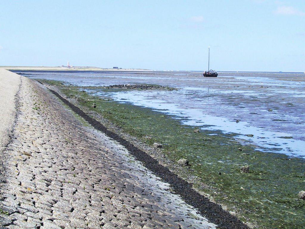 Вид с дамбы3.JPG