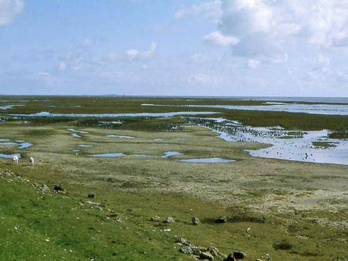 Вид с дамбы4.JPG