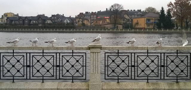 верхнее озеро