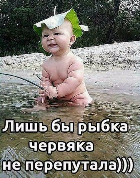 WEliC3FyLwQ.jpeg