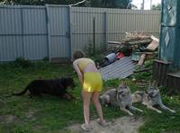 VFL.RU - ваш фотохостинг