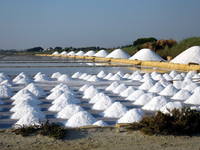 Saline-Marsala-La-Salinella