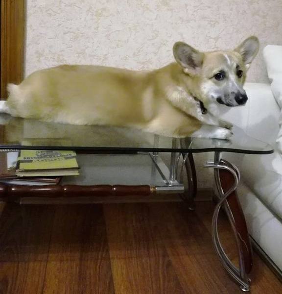 Уитни