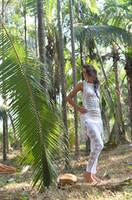 NPryan72