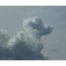 poodle cloud 3