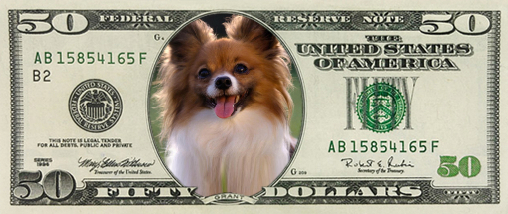 собачьи денежки