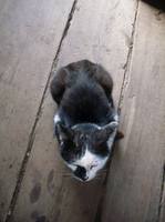 VFL.RU - ваш фотохостинг