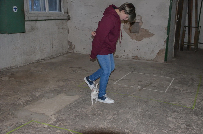 7RvkGWyPQIY