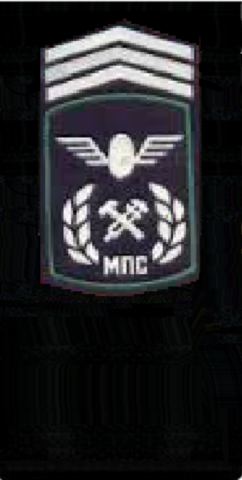л11