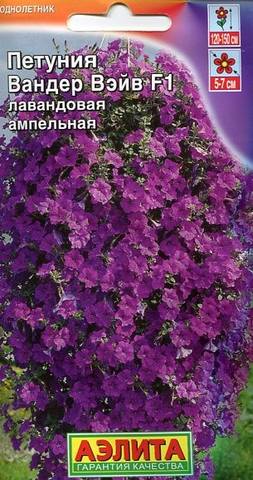 image (4)